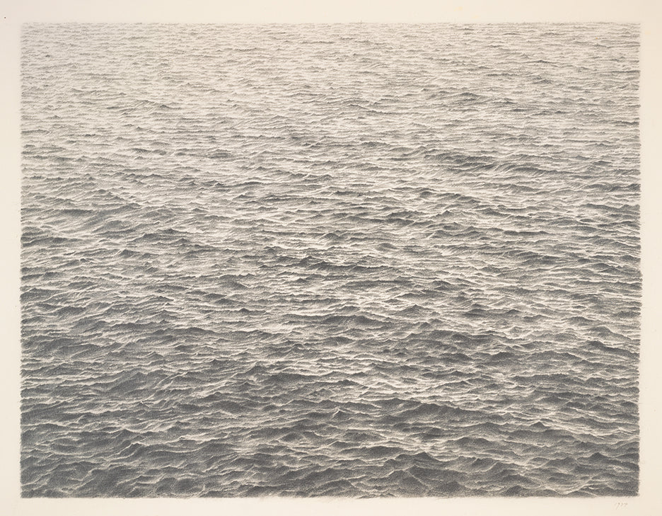 Vija Celmins: Enduring World from Fleeting Moments
