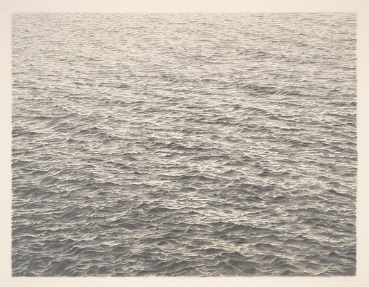 Vija Celmins: Enduring World from Fleeting Moments