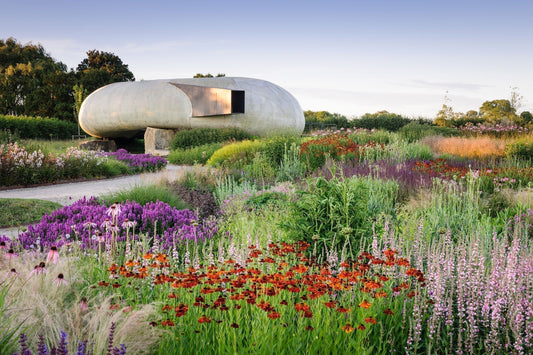 Piet Oudolf's Gardens: Embracing Life's Natural Cycles