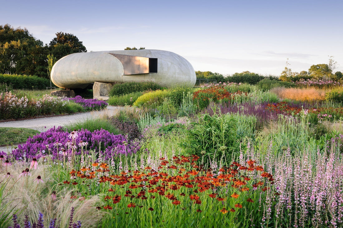 design | Piet Oudolf's Gardens: Embracing Life's Natural Cycles
