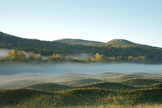 Maya Lin: Low and Quiet