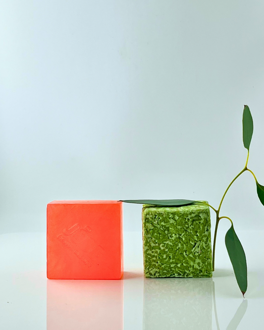Duo Delight: Bright Awakening